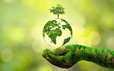 Eco-Friendly